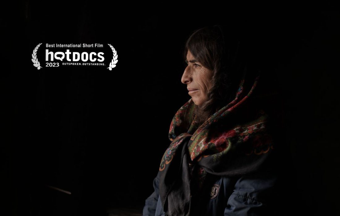 «شوهر ايران خانم» منتخب جشنواره بیگ‌ اسکای آمریکا