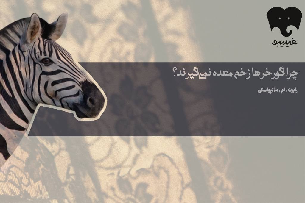 شما میدانید «چرا گورخرها زخم معده نمیگیرند؟»